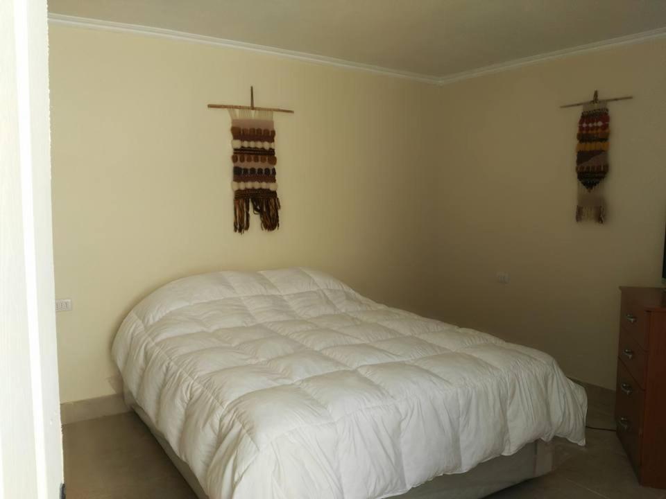 Hostal Cactus Кокімбо Екстер'єр фото